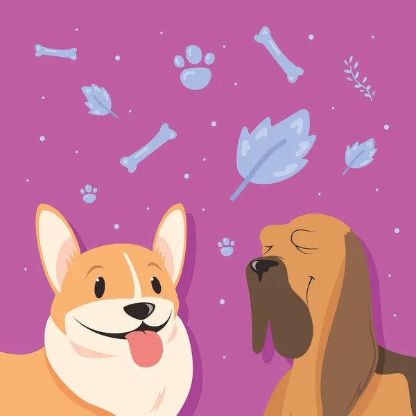 Χαρακτήρες Indog Και Beagle Mascots — Διανυσματικό Αρχείο