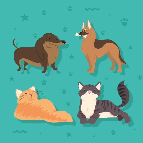 Quattro Cani Gatti Animali — Vettoriale Stock