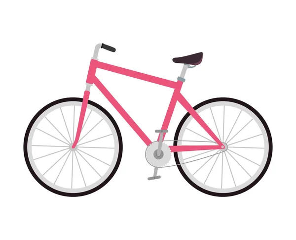 Cykeltransportutrustning Ikon Isolerad — Stock vektor