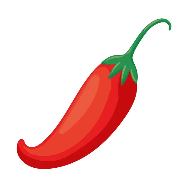 Świeże Organiczne Chili Ikony Gotowania Izolowane — Wektor stockowy