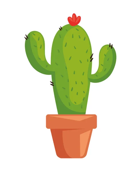 Illustration Vectorielle Icône Plante Cactus Isolé — Image vectorielle