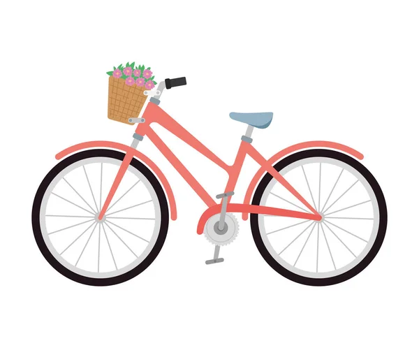 Fahrrad Mit Korb Und Blumen Symbol Isoliert — Stockvektor