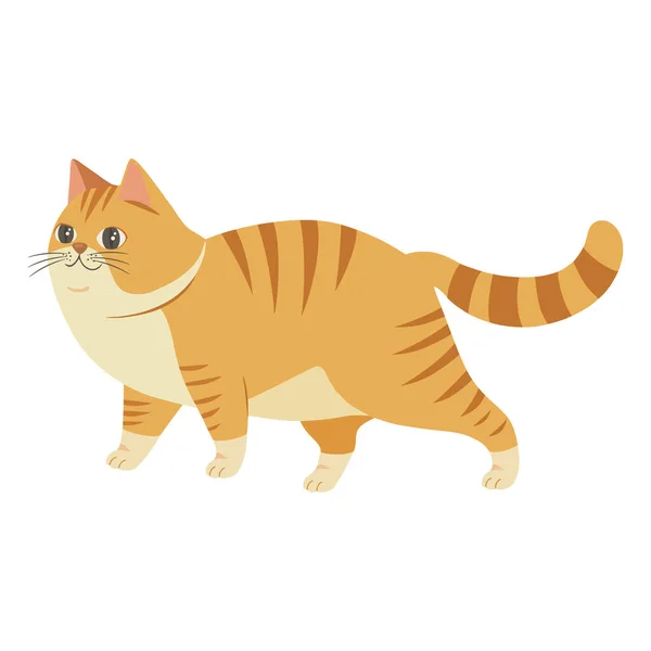 Cute Kitten Walking Icon Isolated — Stock Vector