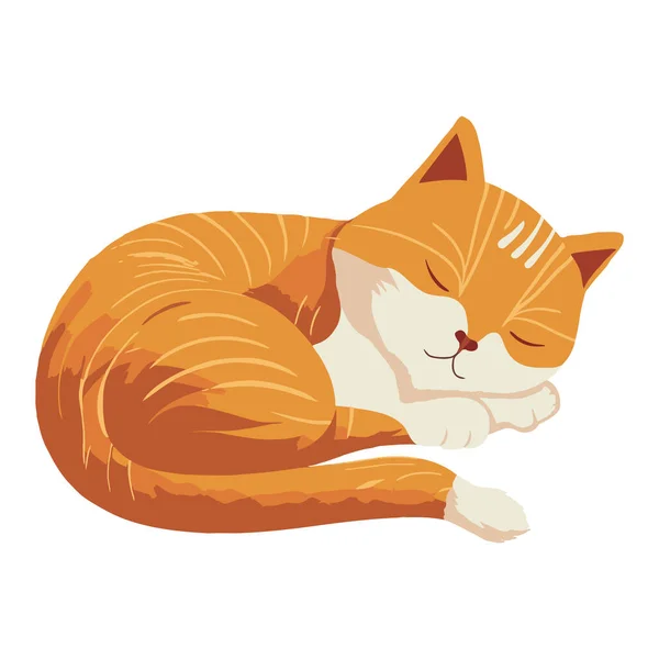 Fluffy Kitten Sleeping Icon Isolated — Stock Vector