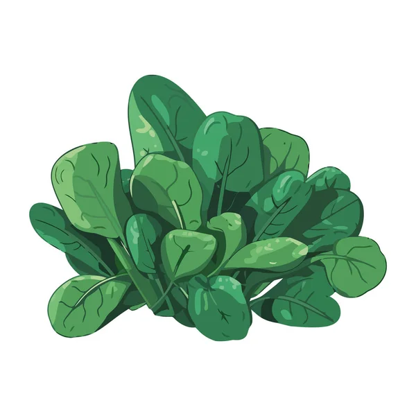 新鮮なグリーンサラダ 健康的なベジタリアン料理のアイコン — ストックベクタ
