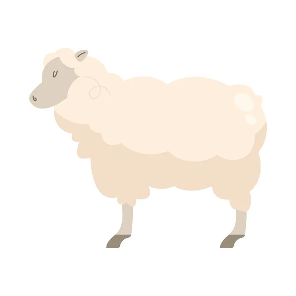 Cute Cartoon Lamb Standing White — Stock Vector