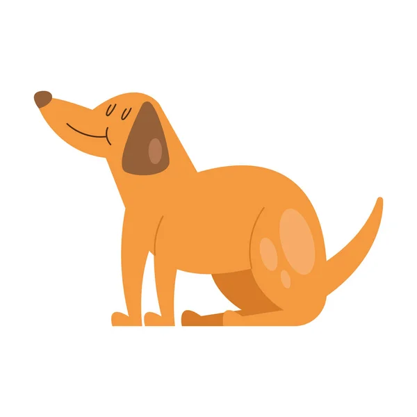 Cute Orange Dog White — Stock Vector