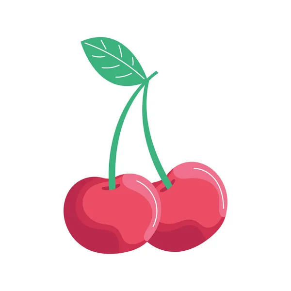 Juicy Cseresznye Gyümölcs Több Mint Fehér — Stock Vector