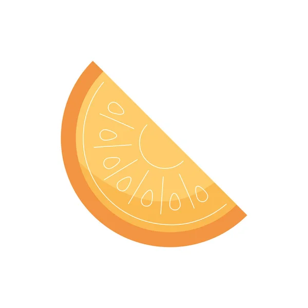 新鲜的有机橙片盖在白色上 — 图库矢量图片