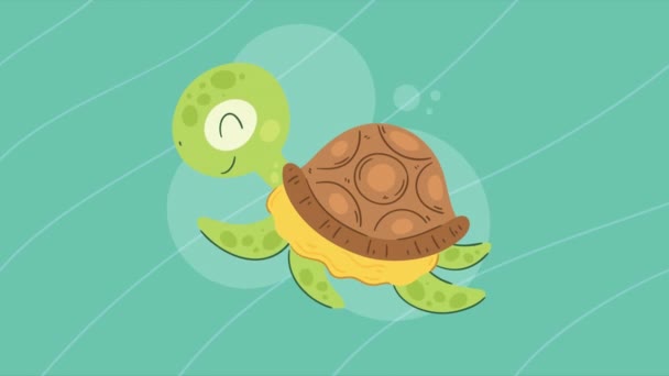 Cute Turtle Swiming Character Animation Video Animated — Stock Video