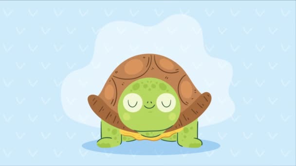 Симпатичная Анимация Персонажа Черепахи Переднем Плане Видео Анимация — стоковое видео