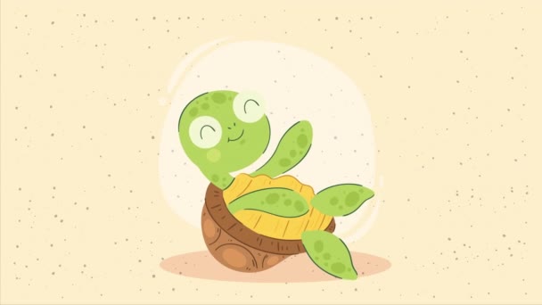 Cute Turtle Seated Character Animation Video Animated — Stock Video