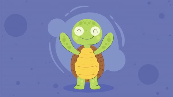 Cute Turtle Standing Walking Animation Video Animated — Stock Video