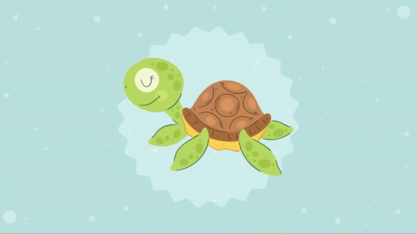 Cute Turtle Swiming Character Animation Video Animated — Stock Video