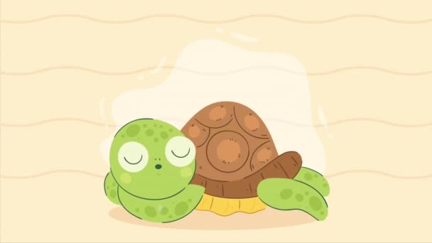 Bonito Tartaruga Dormindo Personagem Animação Vídeo Animado — Vídeo de Stock