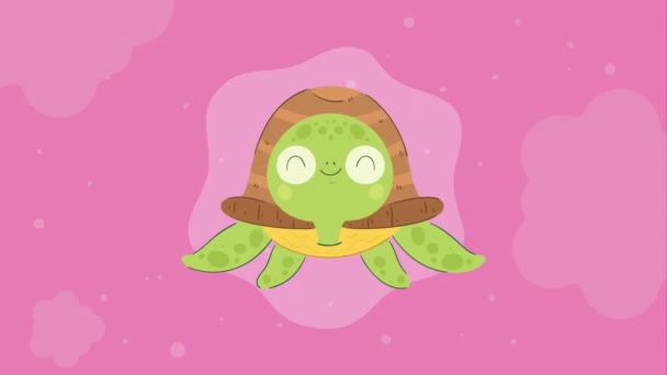 Cute Turtle Front Character Animation Video Animated — Stock Video