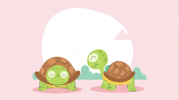 Two Cute Turtles Characters Animation Video Animated — Stock Video