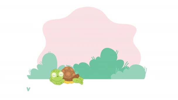 Bonito Tartaruga Dormindo Personagem Animação Vídeo Animado — Vídeo de Stock