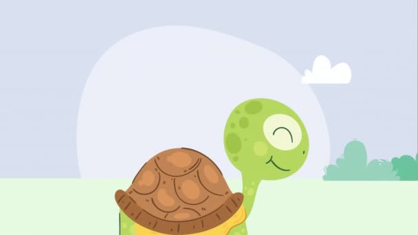 Cute Turtle Standing Character Animation Video Animated — Stock Video