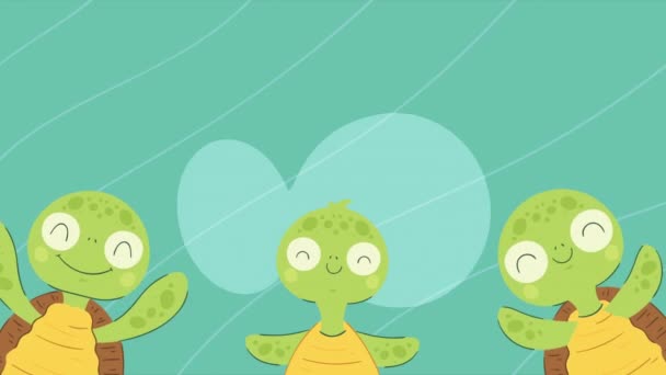 Drei Schildkröten Tiere Charaktere Animation Video Animiert — Stockvideo