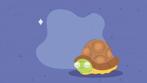 Cute Turtle Hidden Character Animation Video Animated — Stock Video