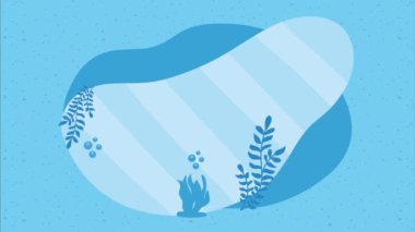 Sevimli palyaço balığı fok balığı animasyonu 4k video animasyonu