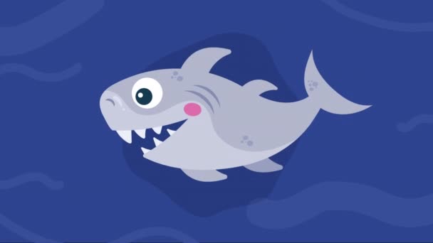 Χαριτωμένο Καρχαρία Κολύμπι Sealife Animation Βίντεο Κινούμενα Σχέδια — Αρχείο Βίντεο
