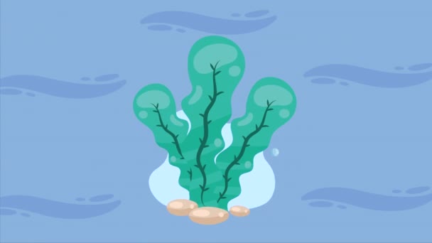 Green Seaweed Waves Animation Video Animated — Stock Video
