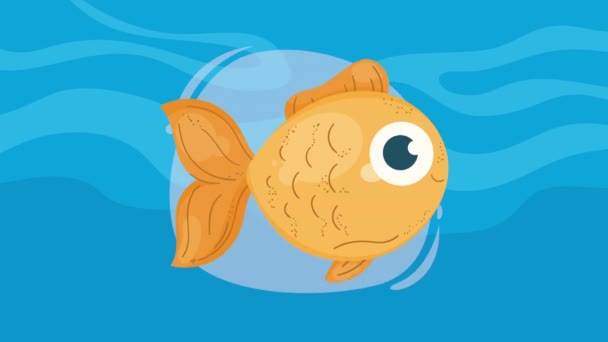 Gelbe Fische Schwimmen Sealife Animation Video Animiert — Stockvideo