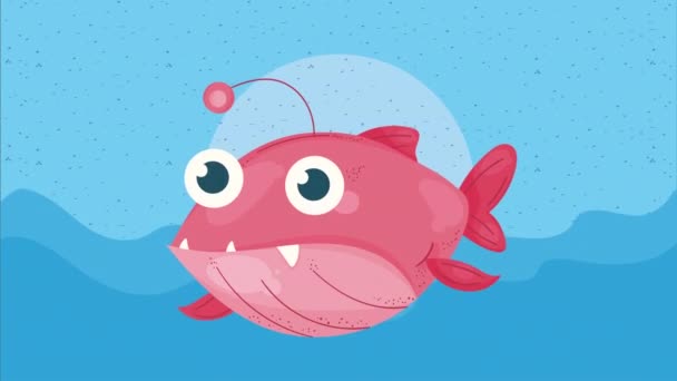 Niedlichen Roten Fisch Sealife Animation Video Animiert — Stockvideo