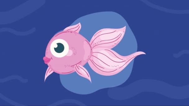 可爱的芭蕾舞演员鱼海豹生活动画4K动画视频动画 — 图库视频影像