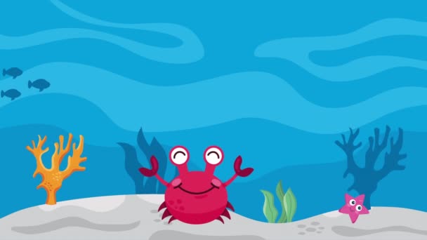 Słodkie Czerwony Krab Sealife Animacja Wideo Animowane — Wideo stockowe