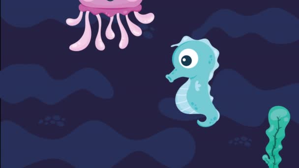 Fioletowy Meduzy Pływanie Morze Animacja Wideo Animowane — Wideo stockowe