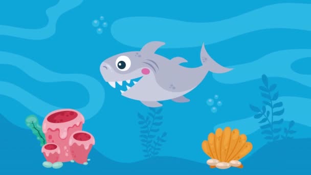 Schattig Haai Zwemmen Taling Animatie Video Geanimeerd — Stockvideo