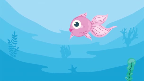 Niedliche Ballerina Fisch Sealife Animation Video Animiert — Stockvideo