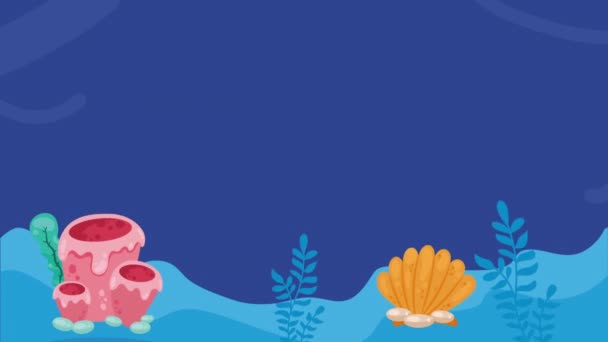 Niedlichen Wal Schwimmen Sealife Animation Video Animiert — Stockvideo