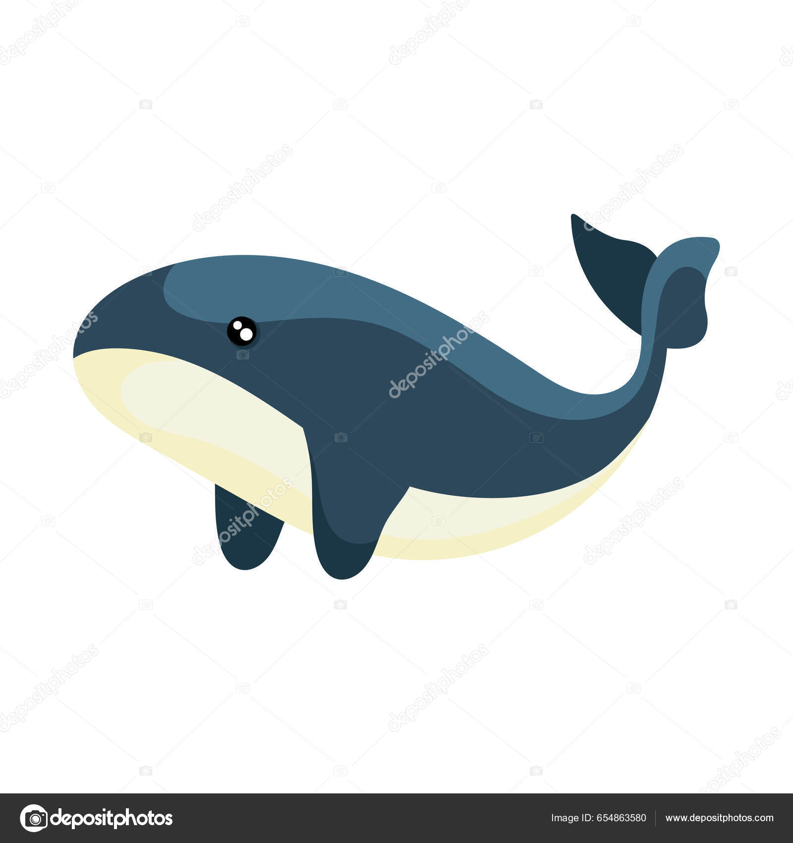 小鲸在蓝色的水下波浪中在白色的水面上游动图库矢量图©yupiramos 654863580