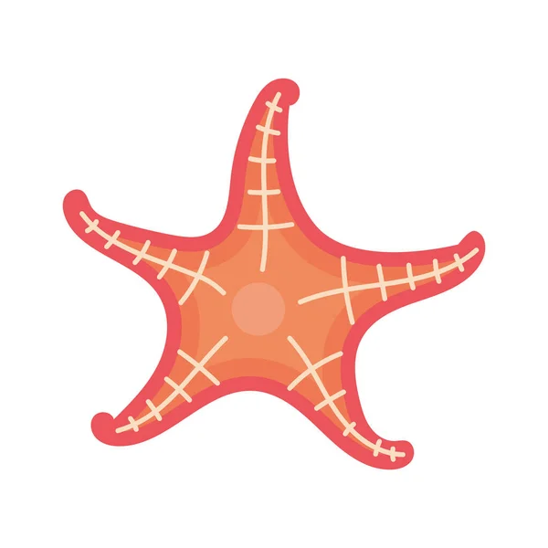 Pink Starfish Design White — Stock Vector