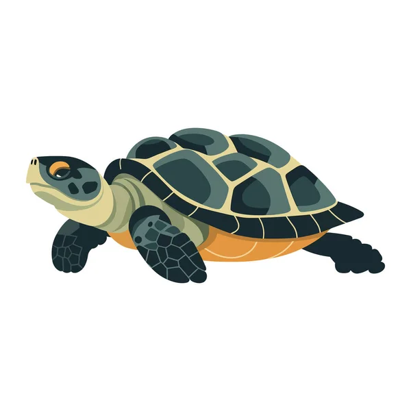 Slow Turtle Crawls Cute Tortoise Shell White — Stock Vector