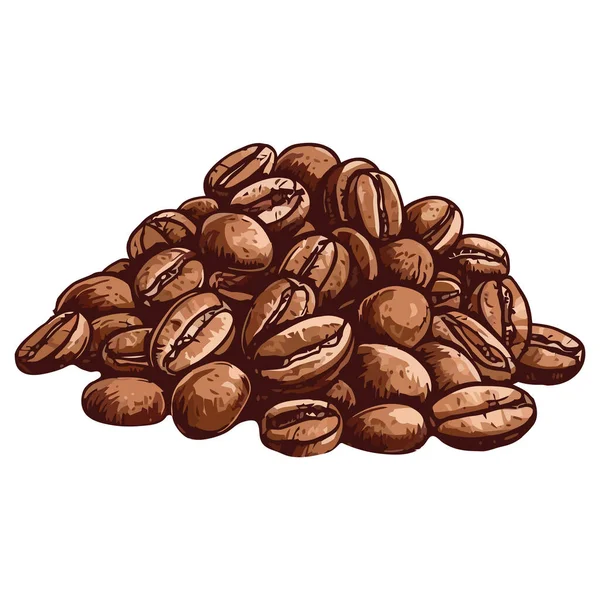 Gurmánská Kávová Zrna Organických Izolovaných — Stockový vektor