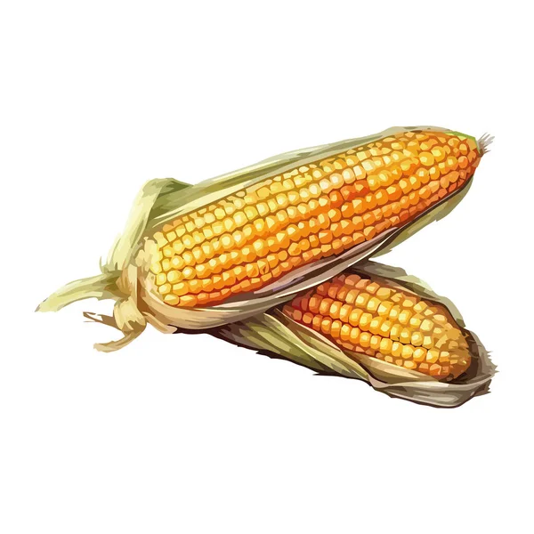 Gouden Maïs Ontwerp Boven Wit — Stockvector