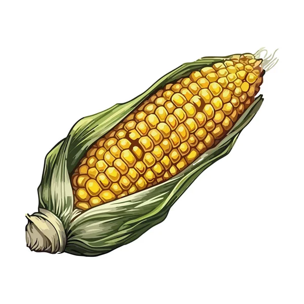 Dojrzała Organiczna Kukurydza Cukrowa Białym — Wektor stockowy