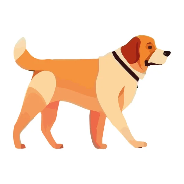 Tatlı Safkan Köpek Yürüyüşü Izole Edilmiş Sadakat Sembolü — Stok Vektör