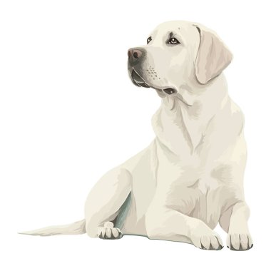 Şirin köpek yavrusu, izole edilmiş sadakat ikonuyla bakıyor.
