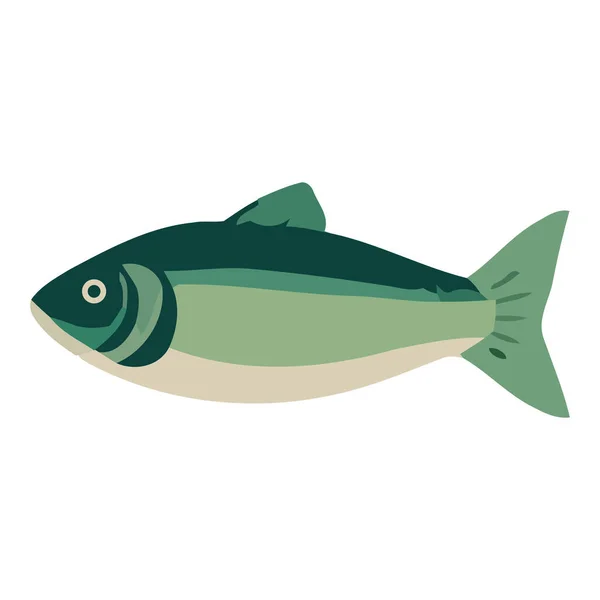 Altı Balık Tasarımı Beyaz Üzerine — Stok Vektör