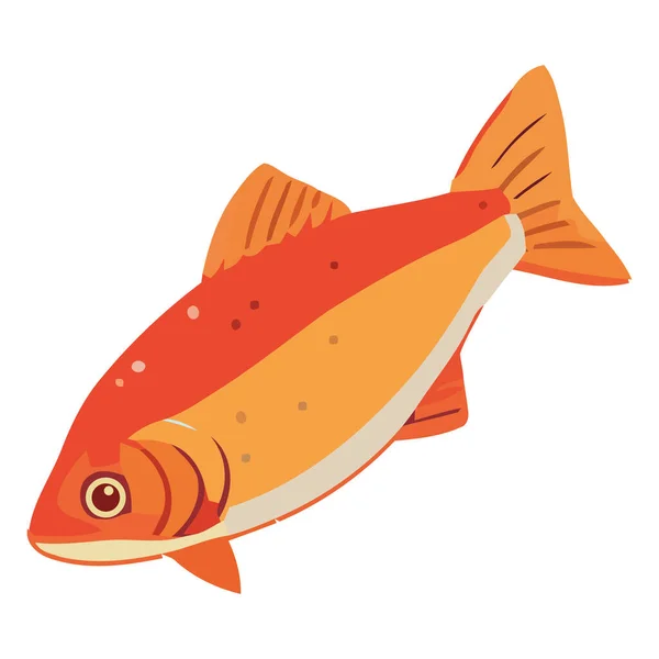 Cute Goldfish Swimming Freshwater White — Stock Vector