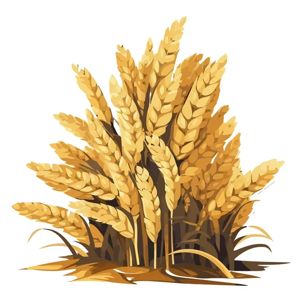 Olgun Buğday Arpalı Kırsal Manzara Beyaz Üzerine — Stok Vektör
