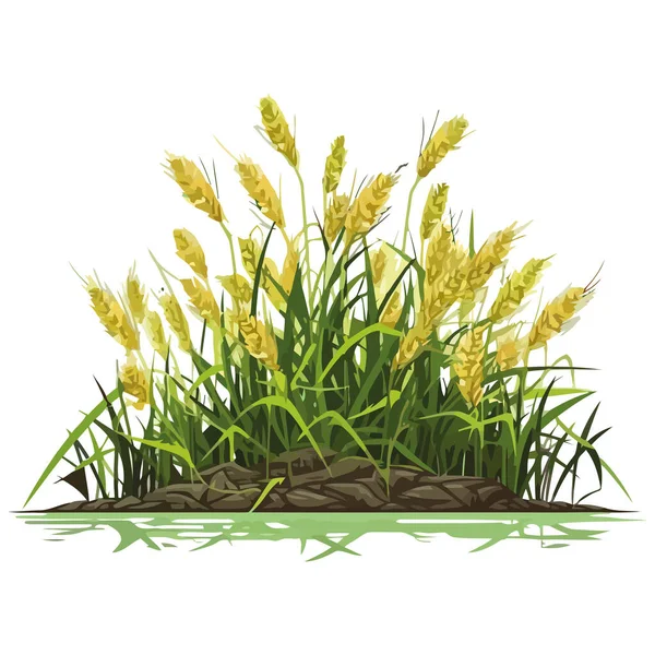 Prairie Verte Fraîche Avec Des Cors Jaunes Fleurissant Sur Blanc — Image vectorielle