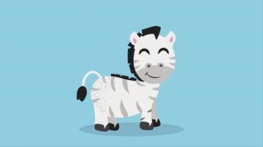 sevimli zebra hayvan karakteri animasyonu 4k video animasyonu