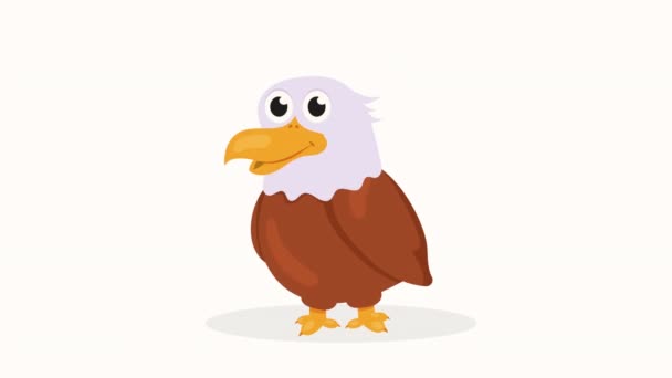 Poco Lindo Águila Animación Video Animado — Vídeos de Stock